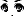 20046
