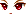 20254
