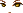 20453