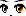 20456