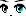 20556
