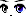 20656