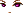 20753