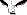 23429