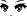 24038