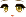 24499