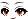 25491