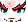 25501