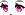 25729
