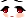26212