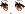 26434