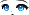 29126