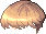 35667
