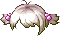 44427