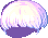 46066