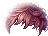 46171