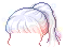 48991