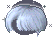 49025