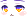 50445