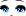 51135