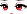 54204