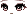 54215