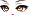 55458