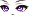 55658