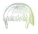 64324